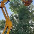 Electric Articulating Boom HA12 IP Nr.100 used